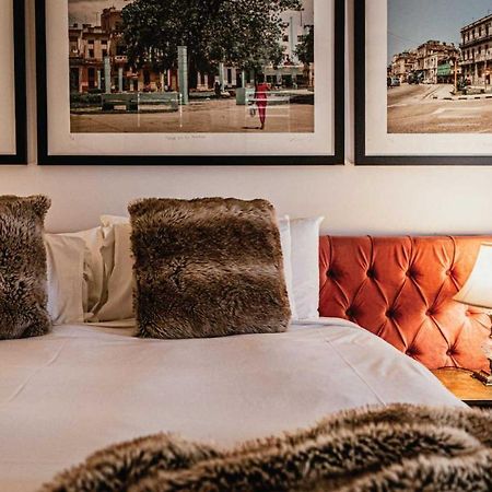 Daylesford Art Motel Signature Suites Dış mekan fotoğraf